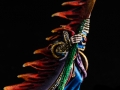 DAV_5904